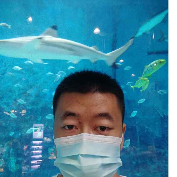 河北34岁单身帅哥真诚找对象-新建征婚相亲网